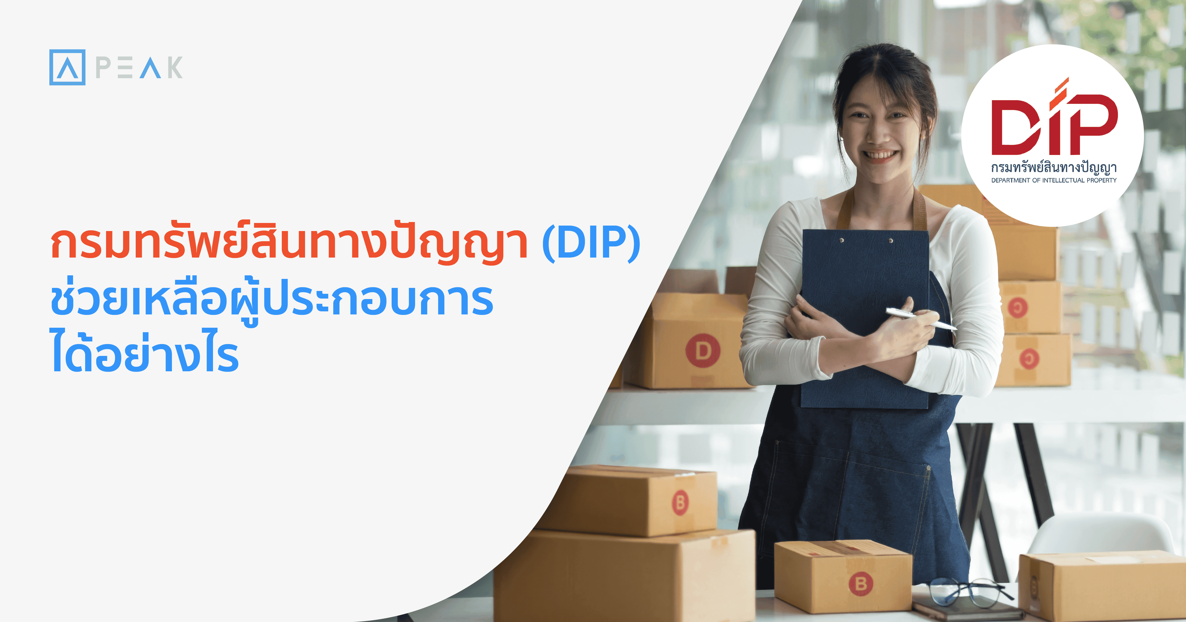 biz-dip-help
