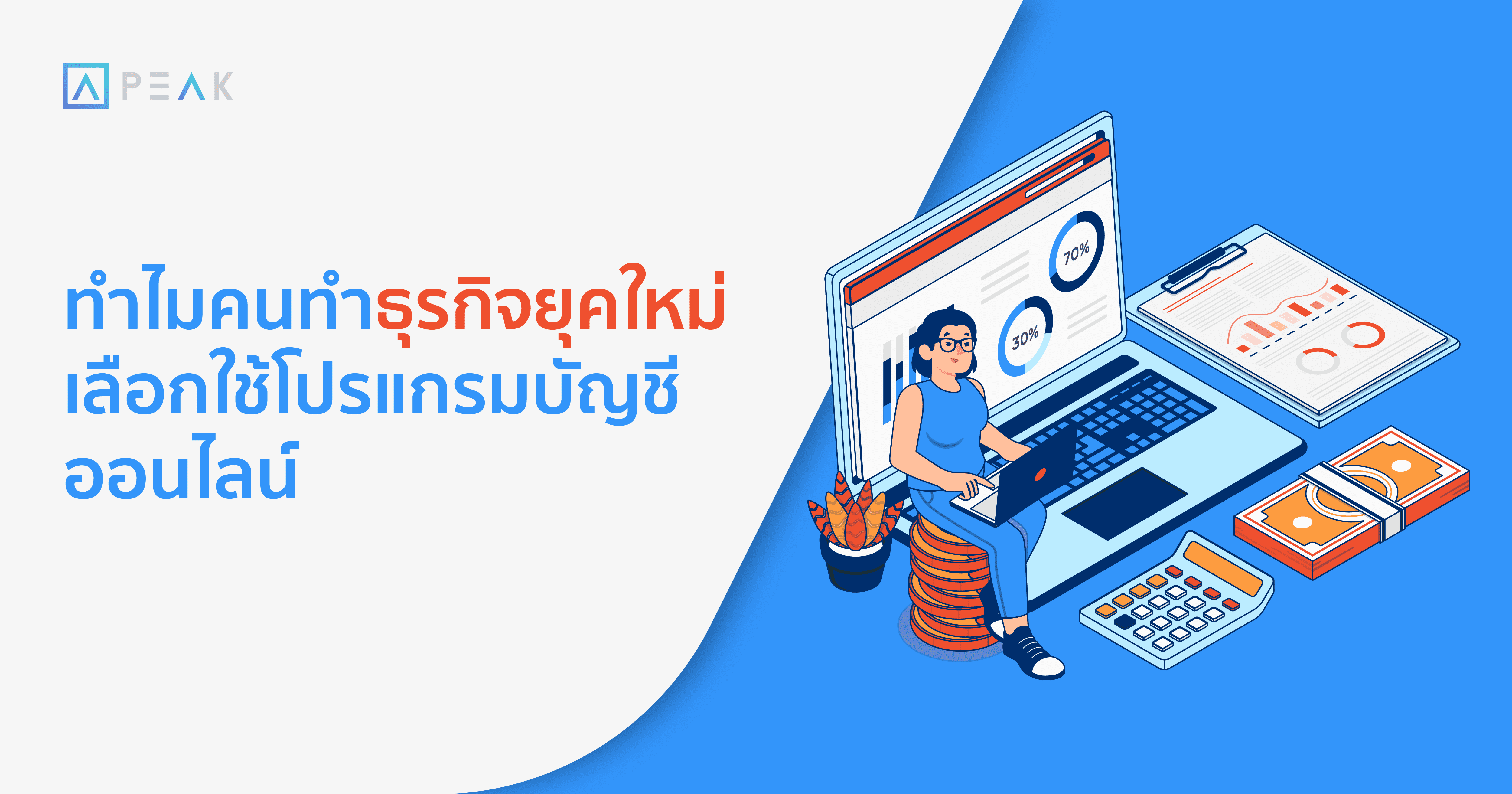 biz-online-accounting-program-for-business