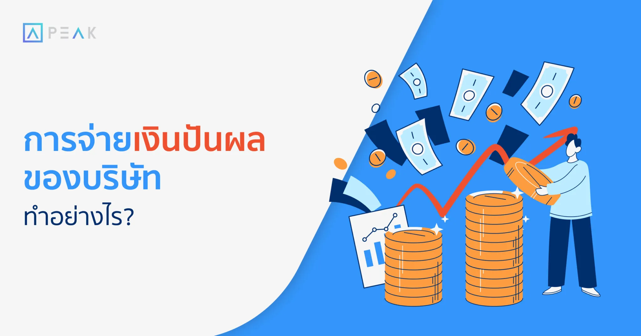 การจ่ายเงินปันผลของบริษัท