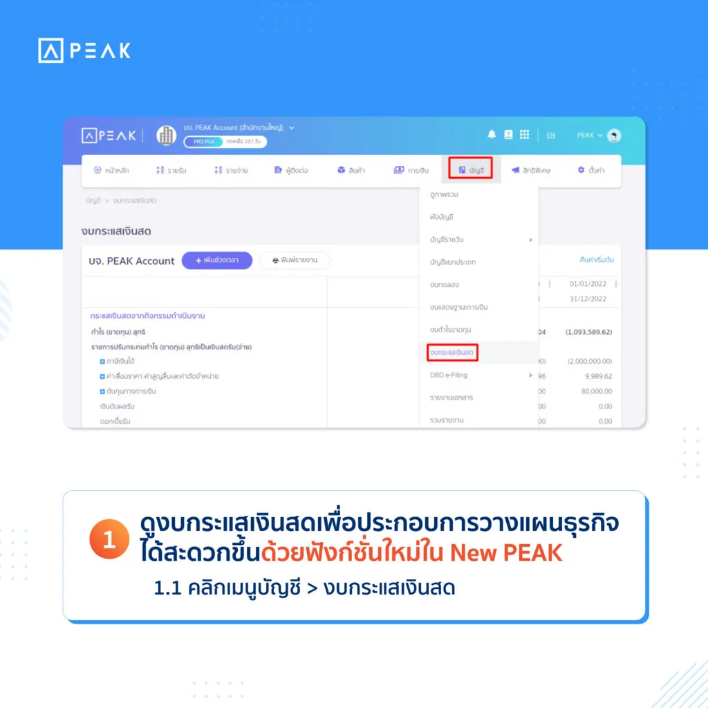 ดูงบกระแสเงินสดใน New PEAK
