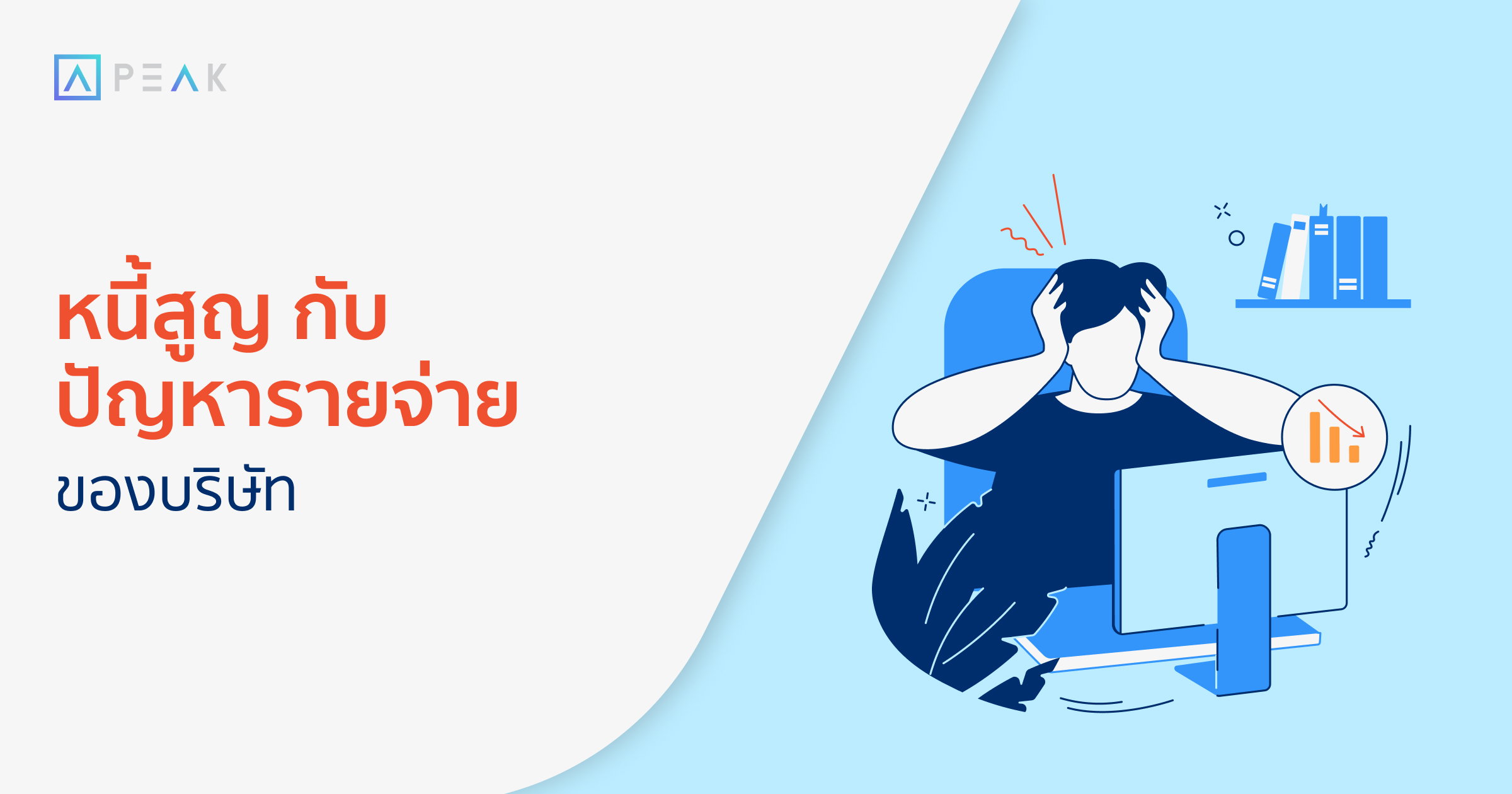 accounting-baddebts-company-expenses
