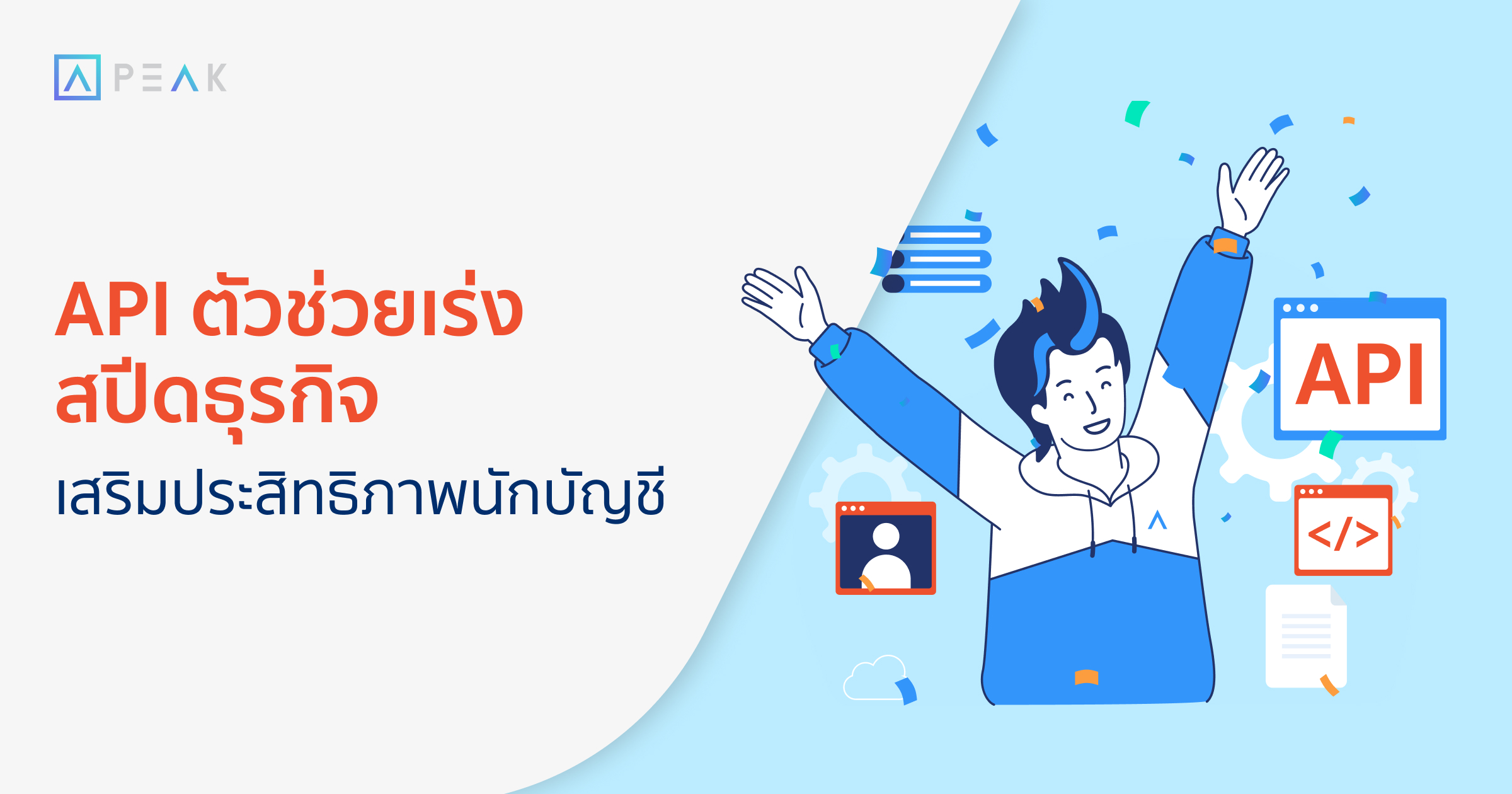 biz-api-for-accountants