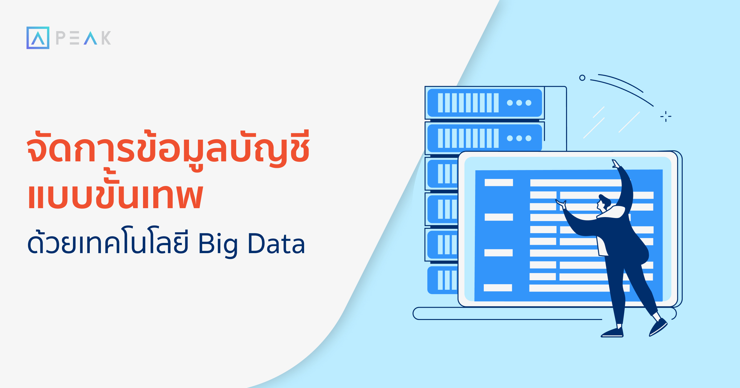 biz-bigdata-for-accounting