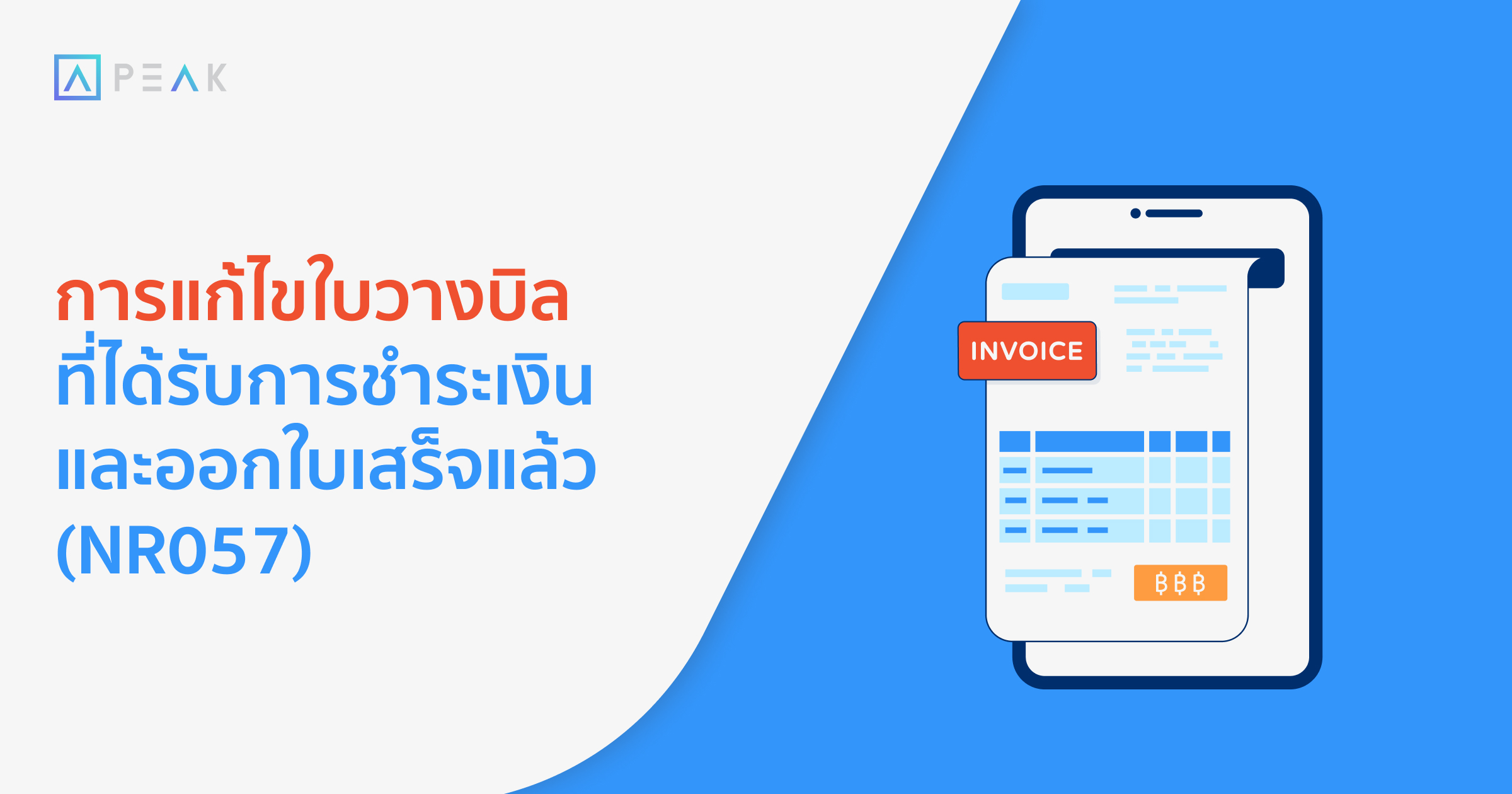 howto-edit-invoices-amount-receipt-issued-NR063