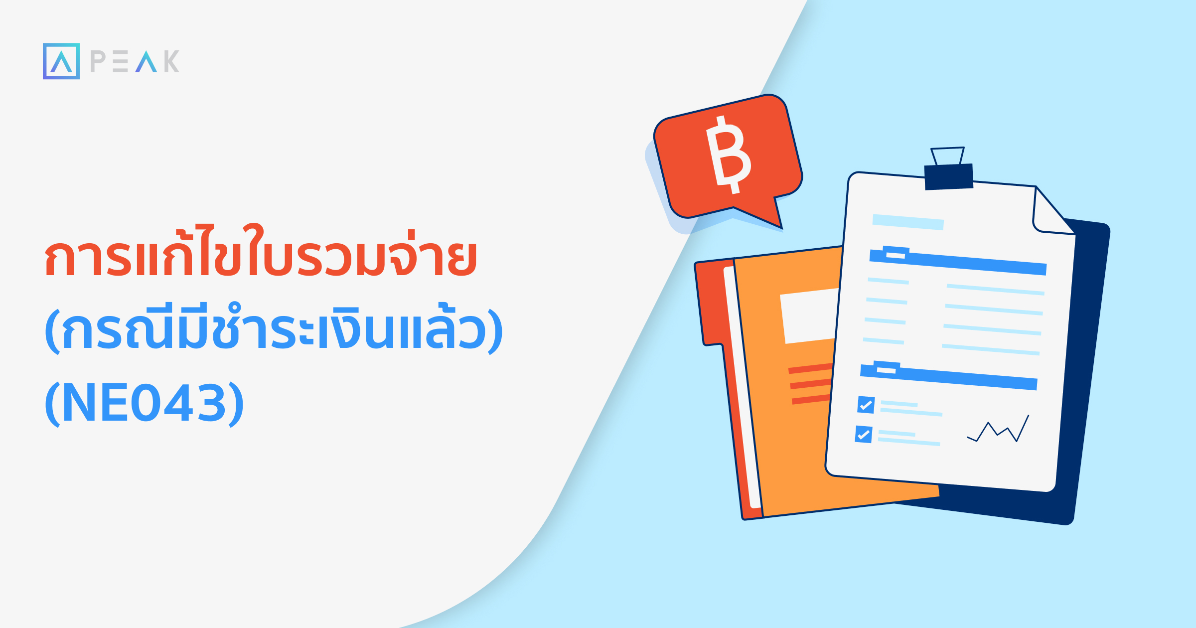 howto-edit-payment-invoices-NE049