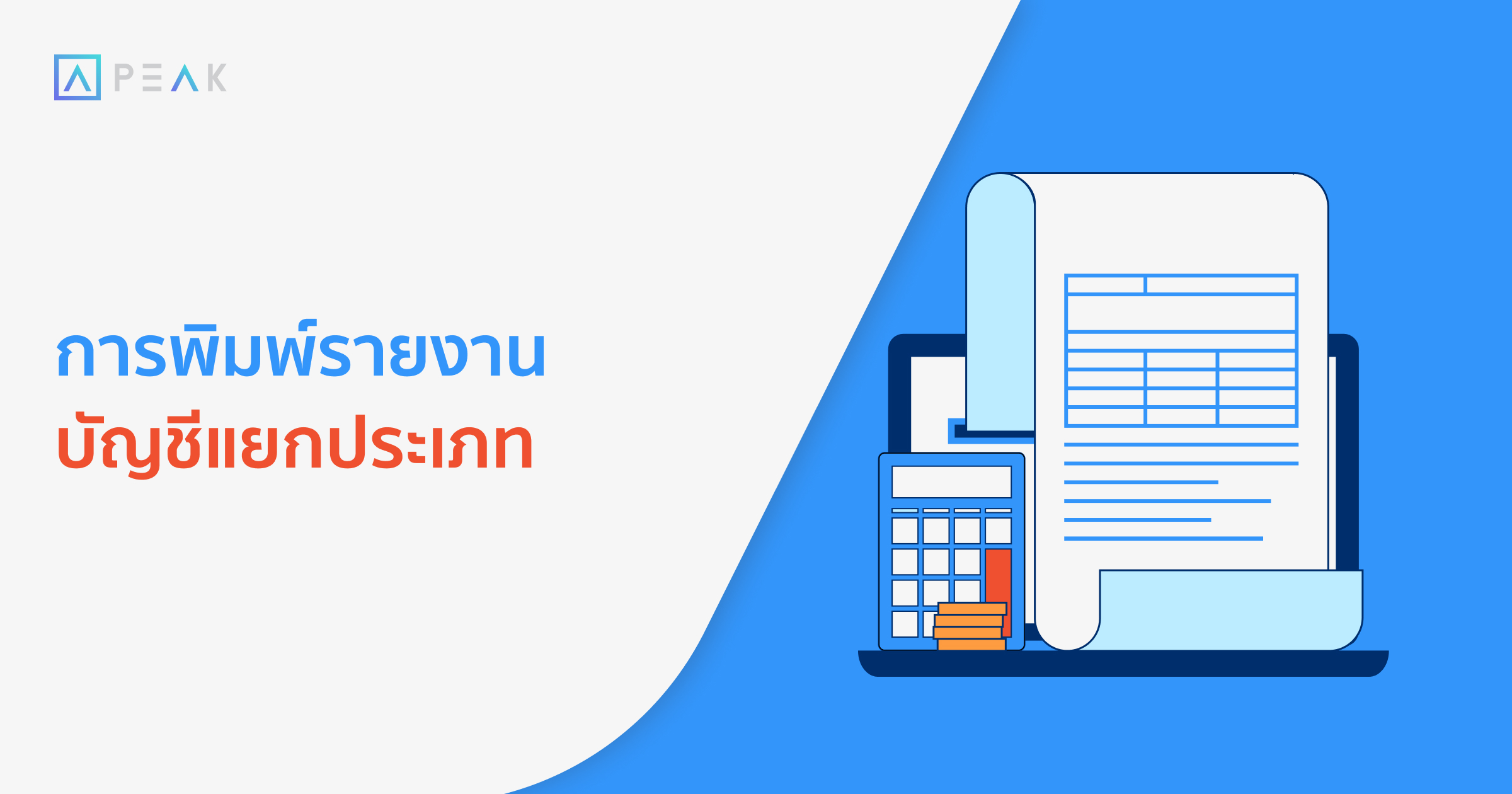 howto-print-ledger-reports