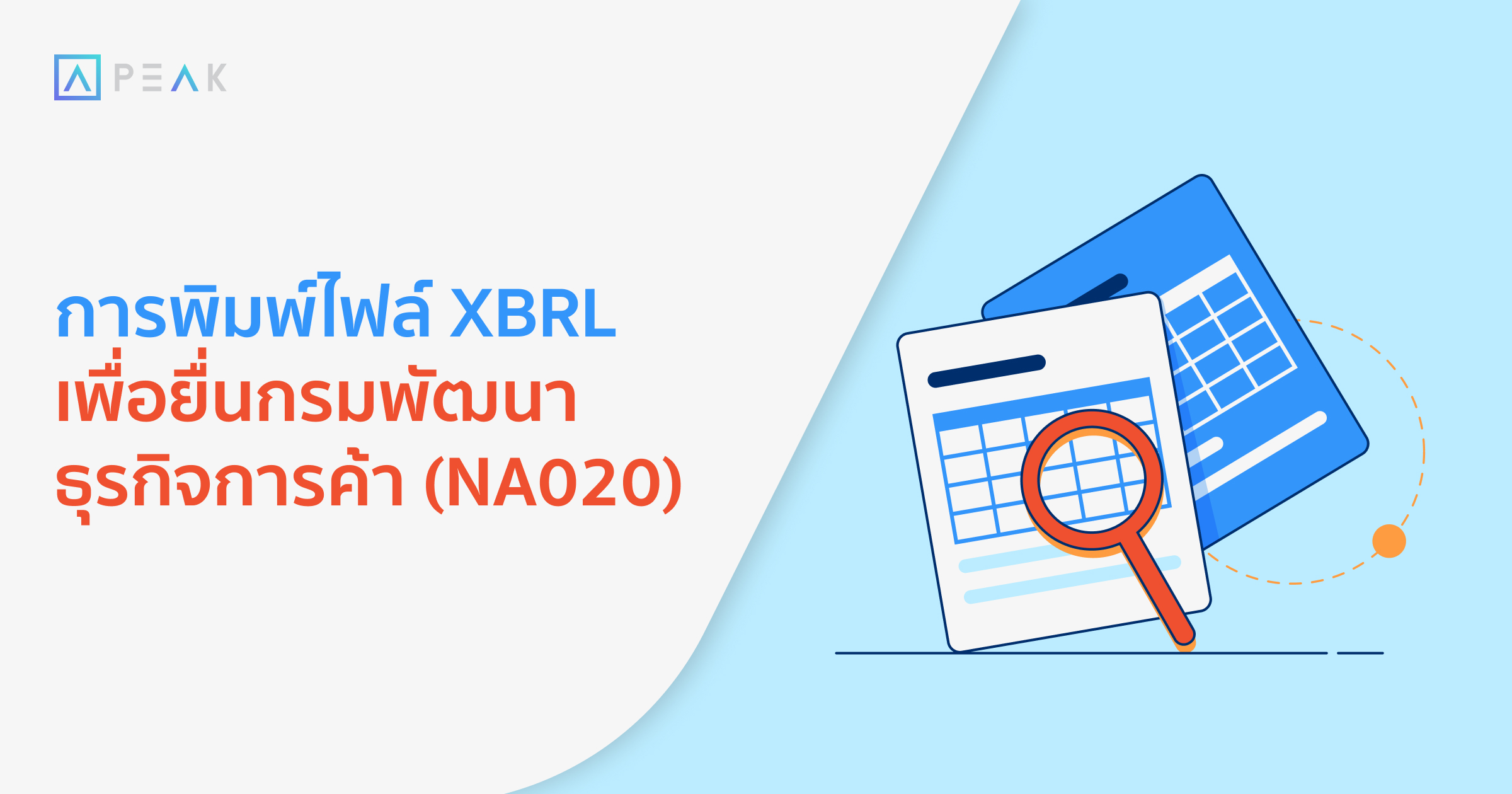 howto-print-xbrl-for-dbd-NA020