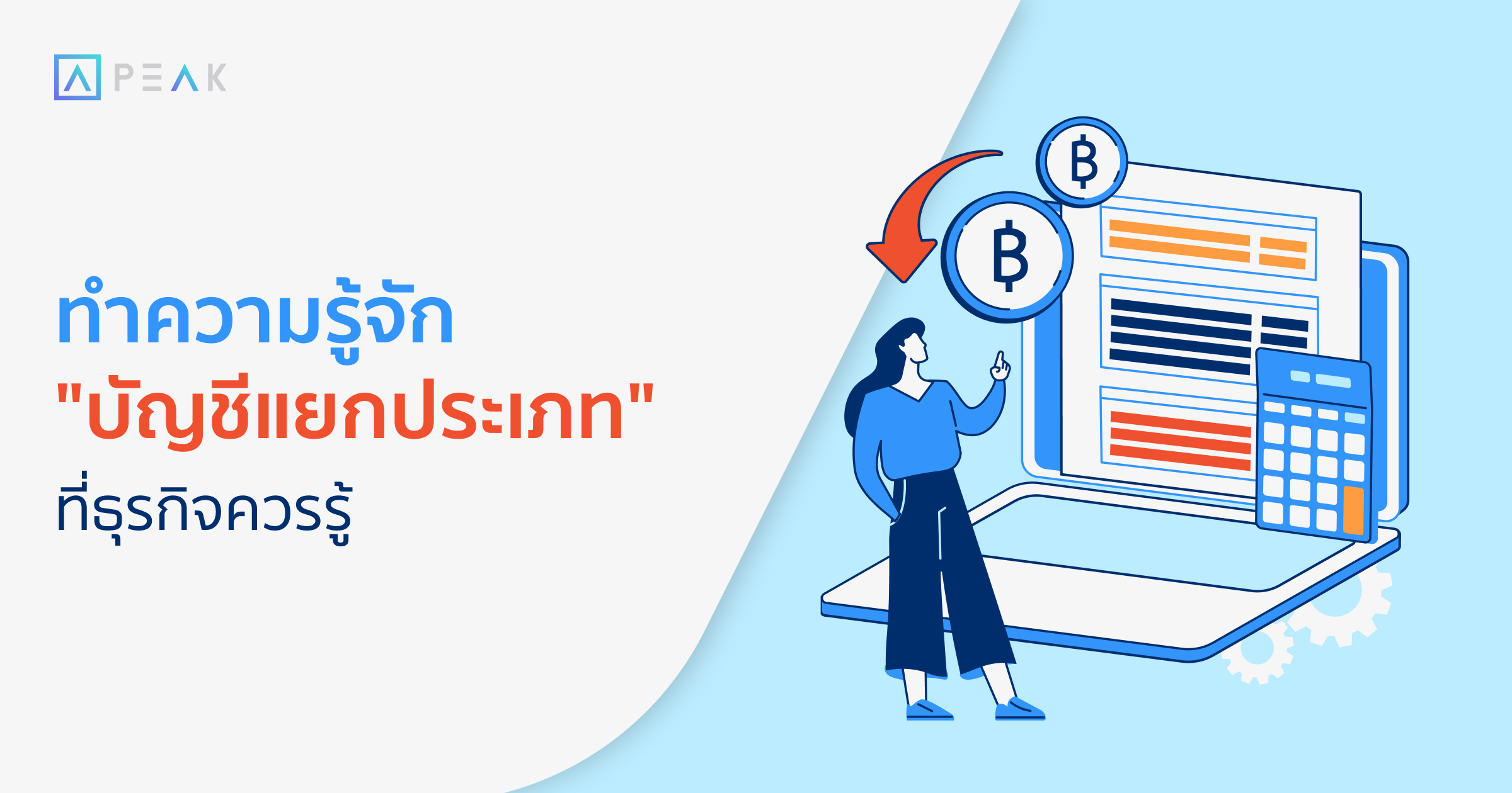 accounting-ledger-for-business