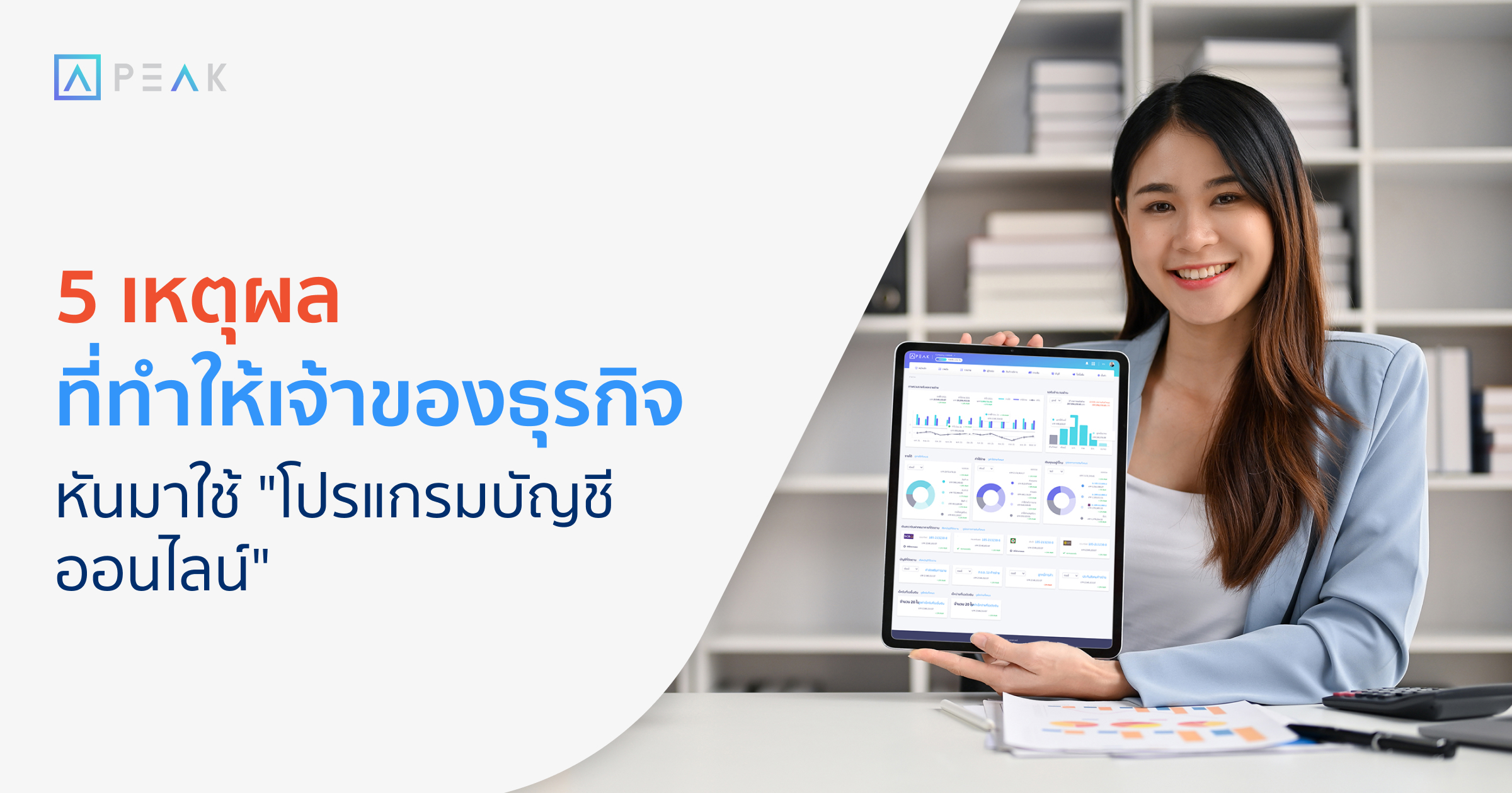 biz-accounting-platform-for-business