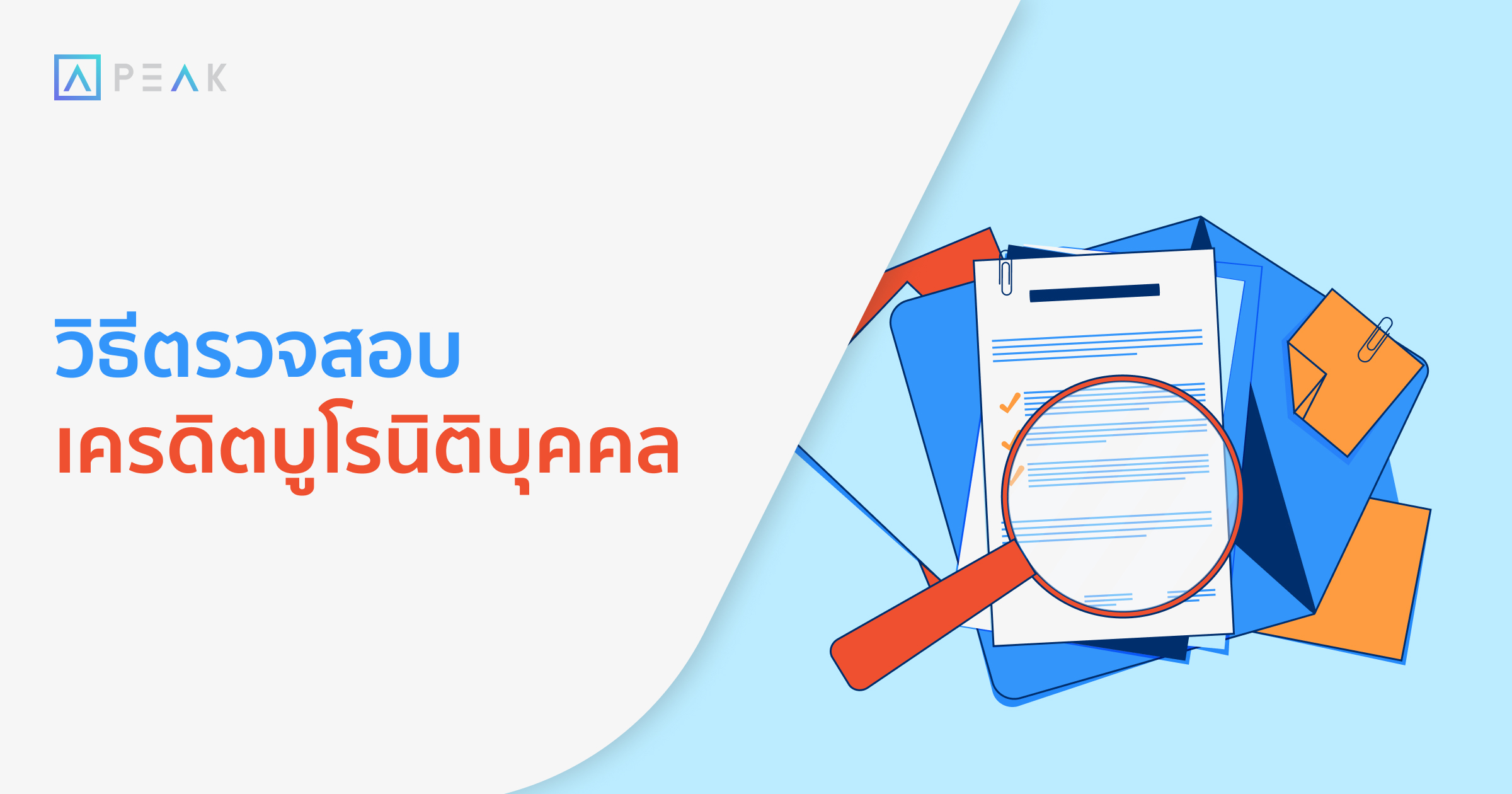 biz-juristic-credit-bureau-checking