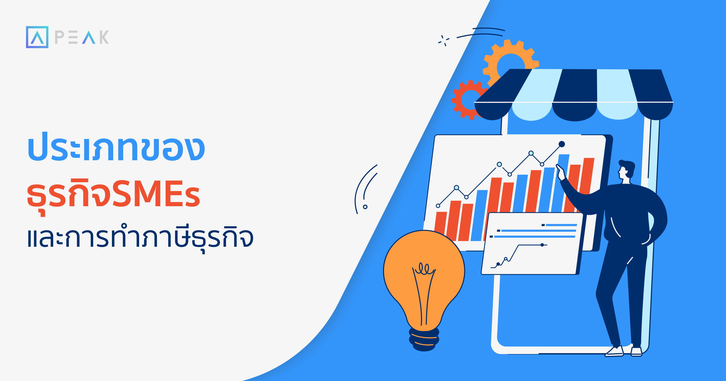 biz-smes-type-and-accounting