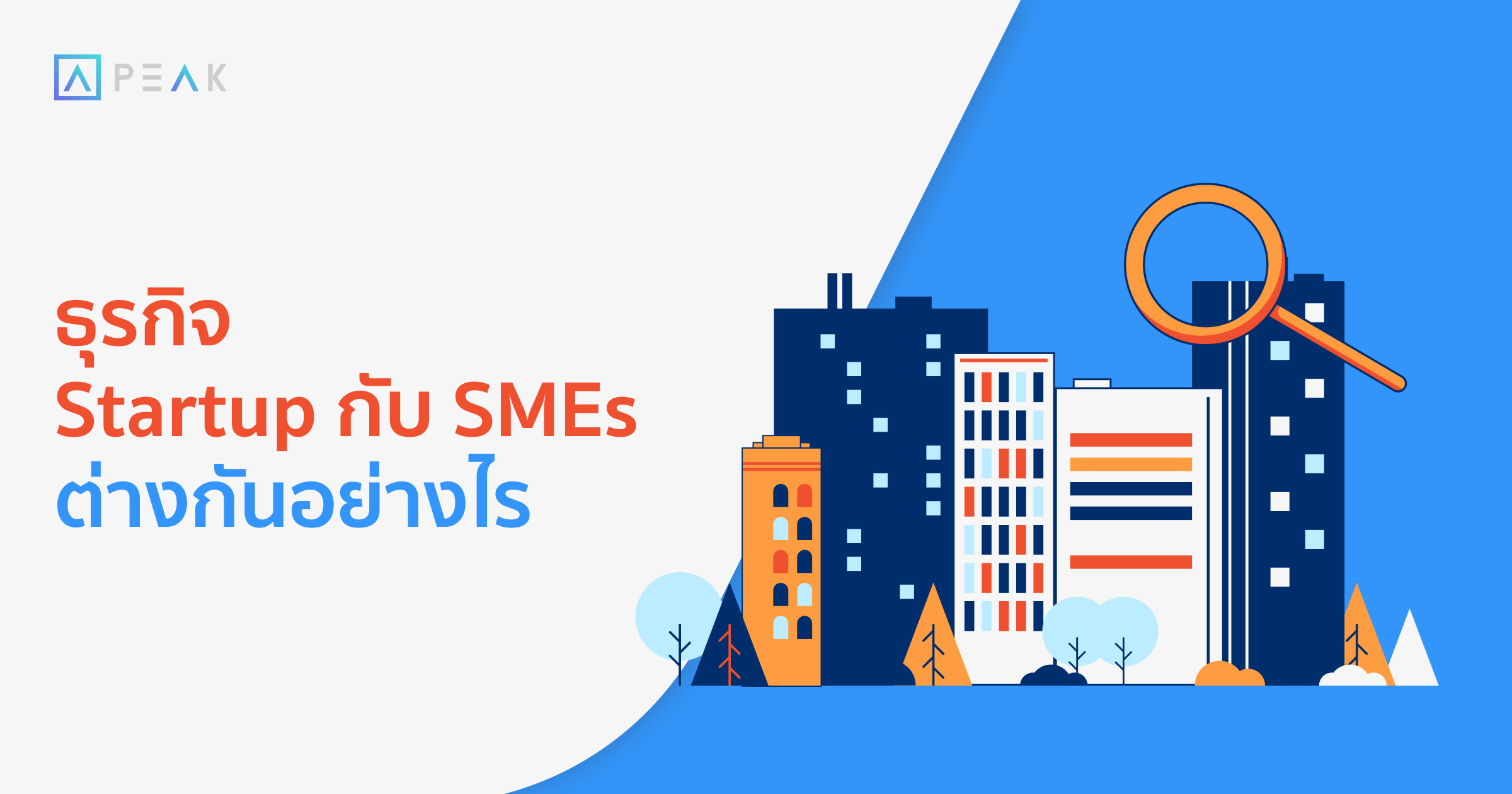 biz-startup-vs-smes