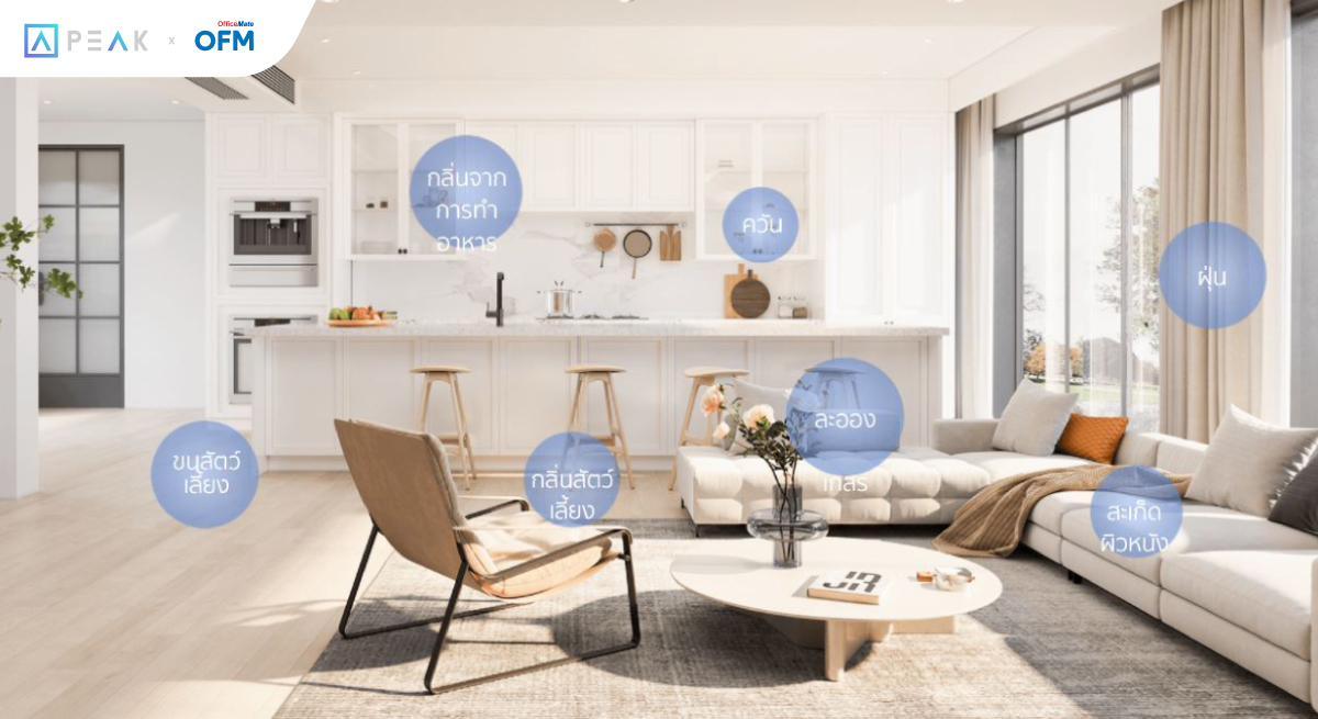 01-3-วิธีสร้างบรรยากาศการทำงานที่มีประสิทธิภาพด้วยอากาศบริสุทธิ์-3 เครื่องฟอกอากาศอัจฉริยะจาก OfficeMate-3