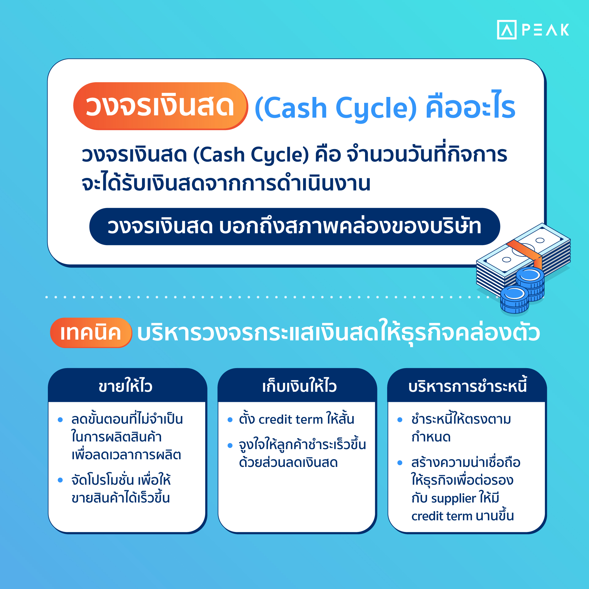 Blog-Post-22082024-1