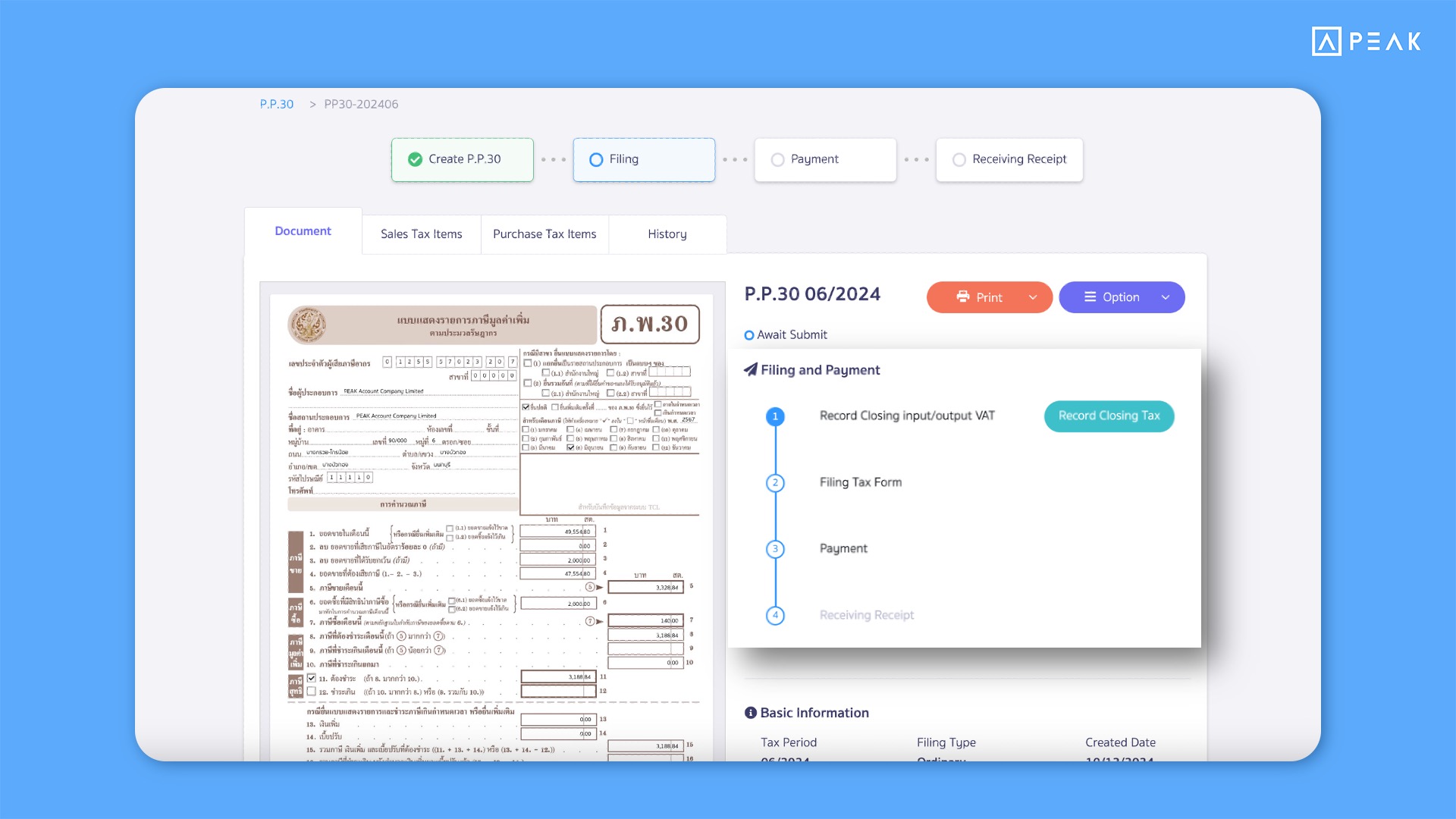 Improved display of form submission and payment details
