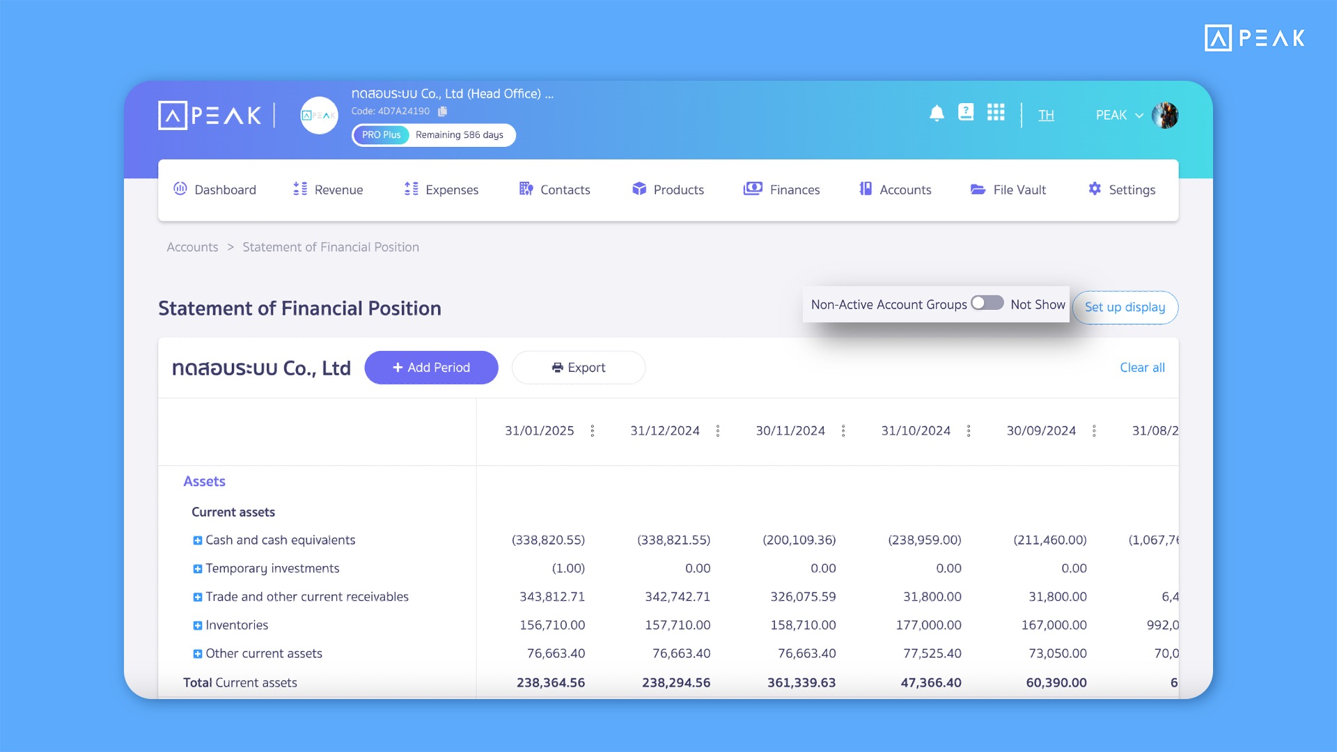 Introduce an option to toggle the display of inactive account groups on the financial position statement