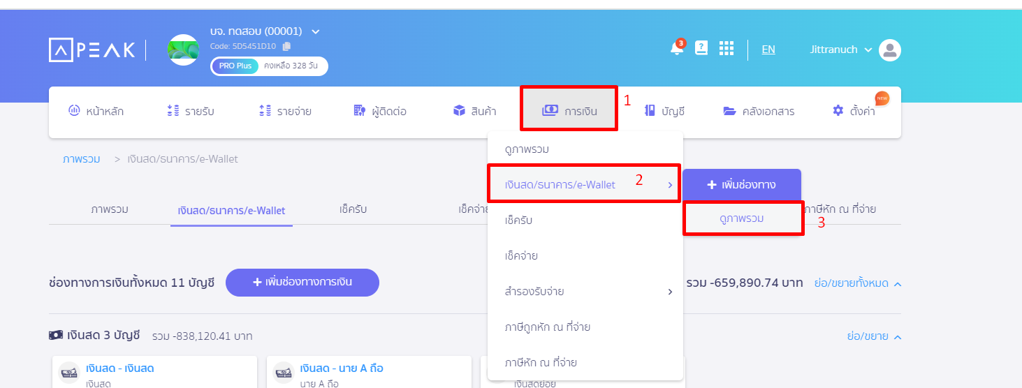 เข้าไปที่เมนูการเงิน เงินสด/ธนาคาร/e-Wallet ดูภาพรวม ใน PEAK