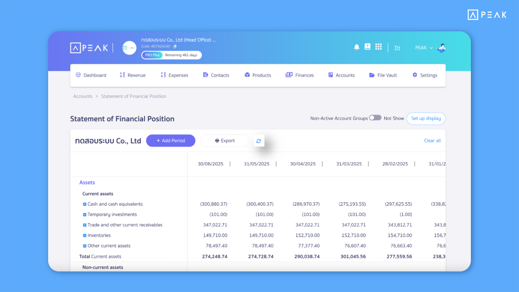 PEAK Update Function 04062025 - New Refresh button added to Financial Statements for instant data updates.