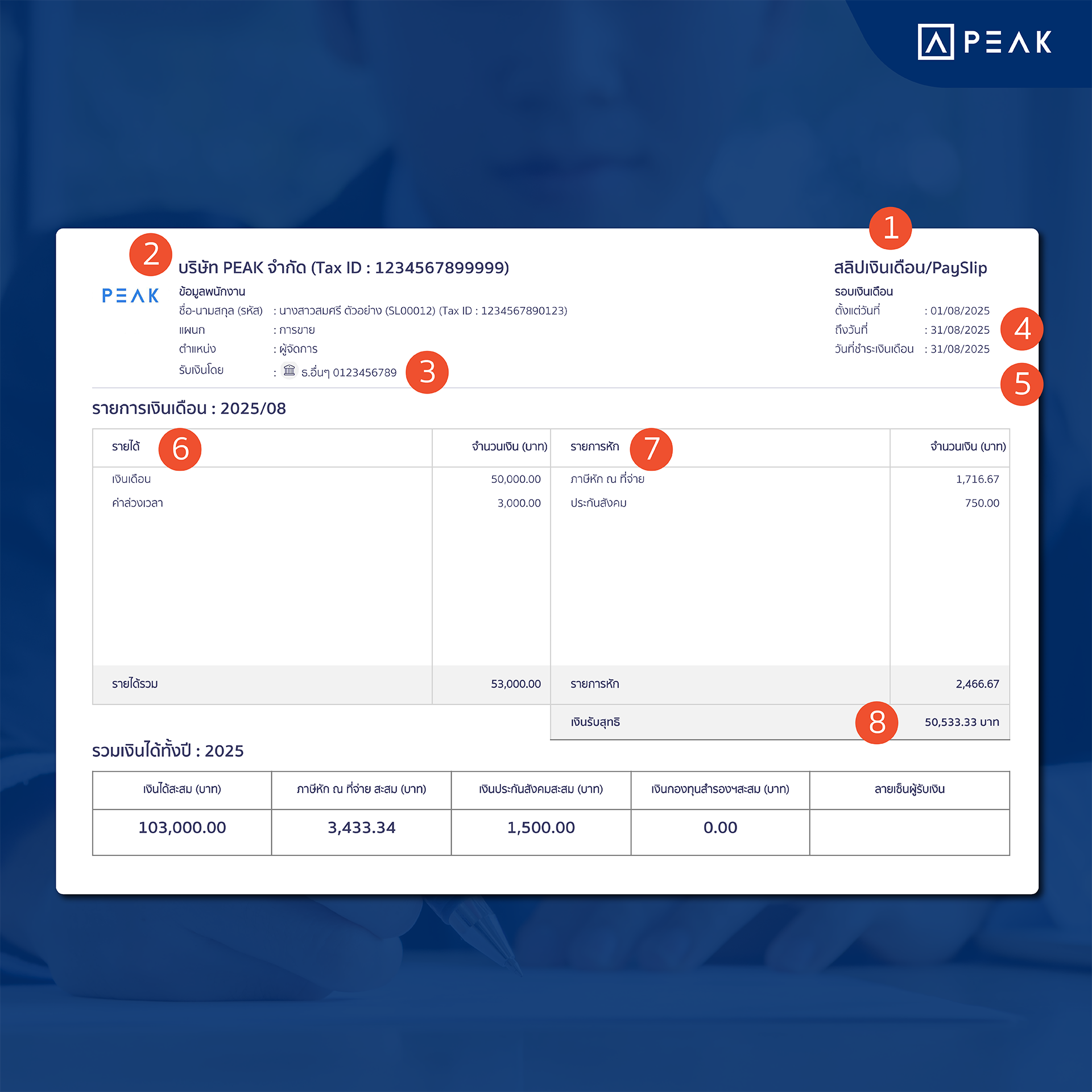 รายละเอียด สลิปเงินเดือน โปรแกรม PEAK Payroll
